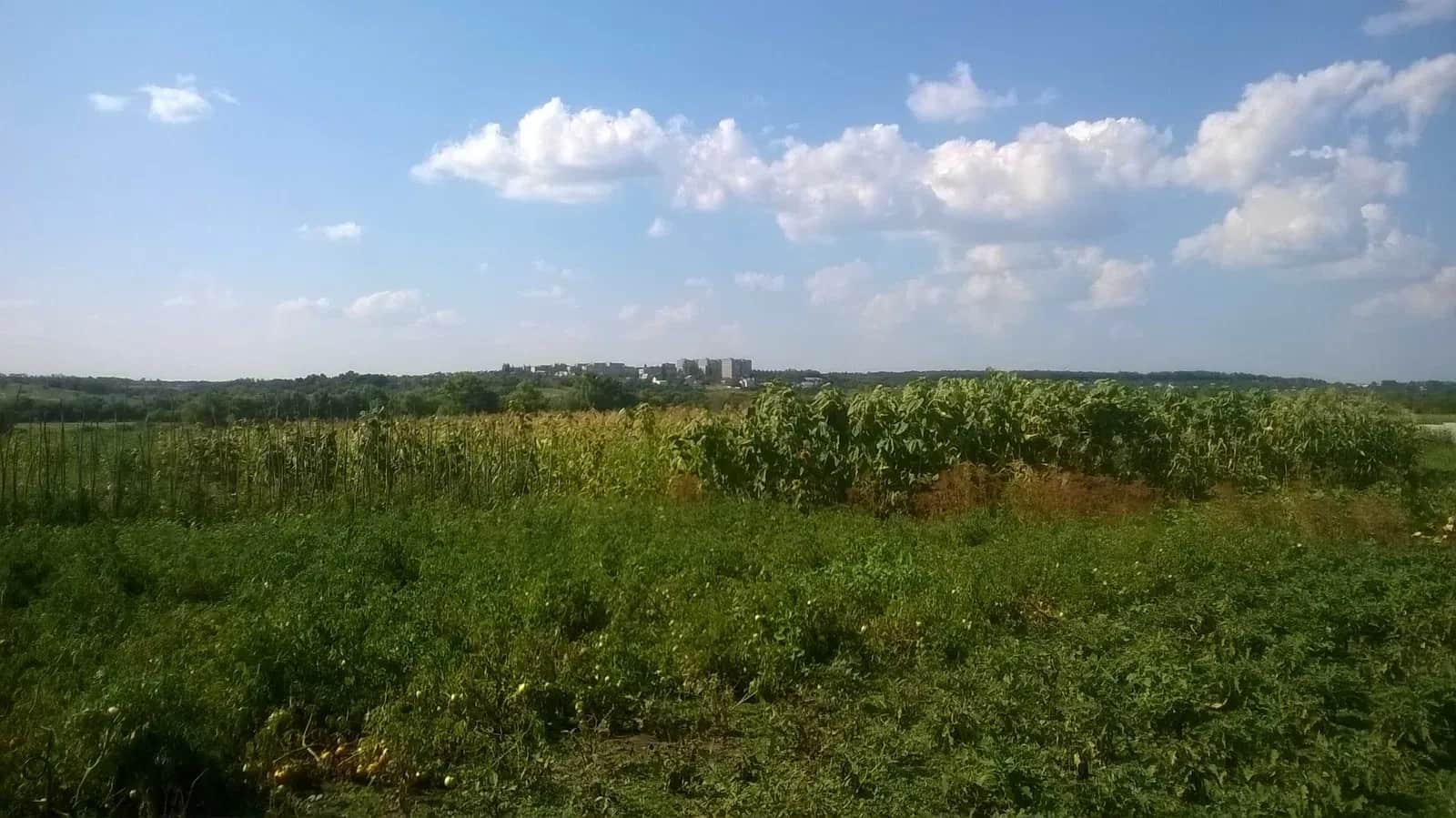 Ділянка 21 соток, Докучаївське: світло, метро Індустріальна 15 хв - фото 2