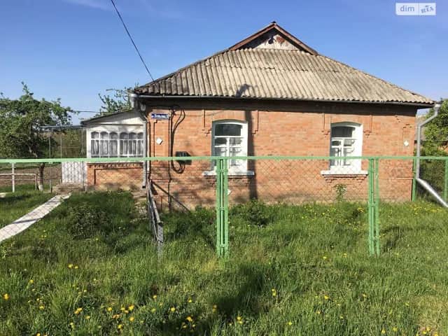 Будинок, Борсуки: 40 соток, господарські будівлі, твердопаливний котел - фото 1