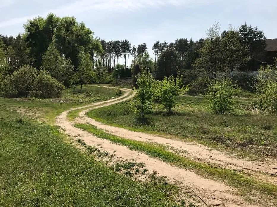 Ділянка 12 соток, Блиставиця: під лісом, озеро 50 м - фото 2