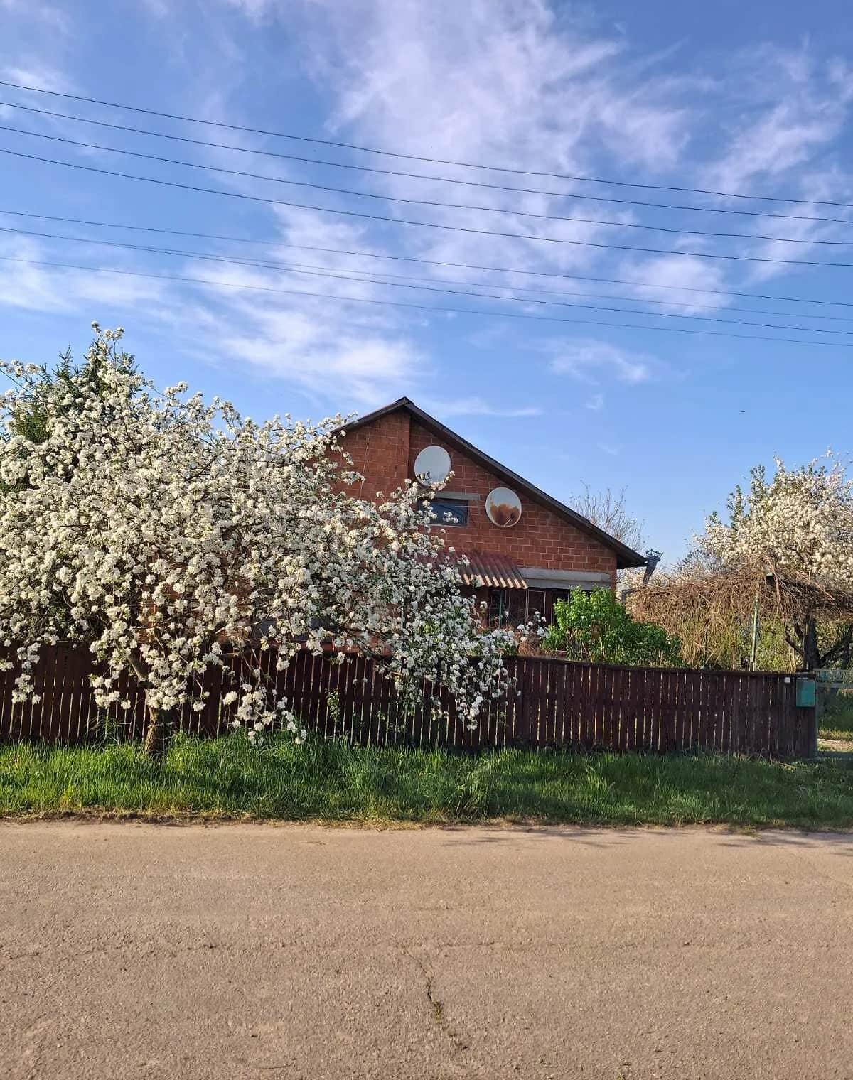 Будинок, Лазарівка: 60 соток, веранда, бесідка - фото 1