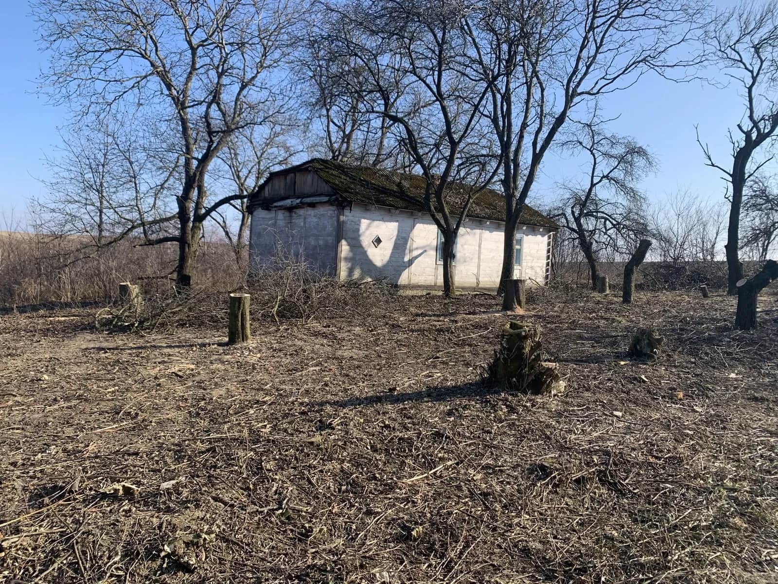 Ділянка 47 соток, Зимне: дерев’яний будинок, монастир неподалік - фото 1