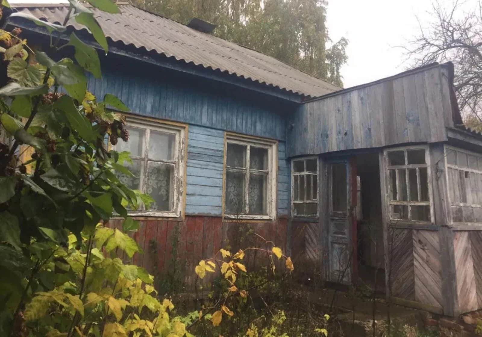 Будинок, Володькова Дівиця: туалет на території, цегляні стіни - фото 1