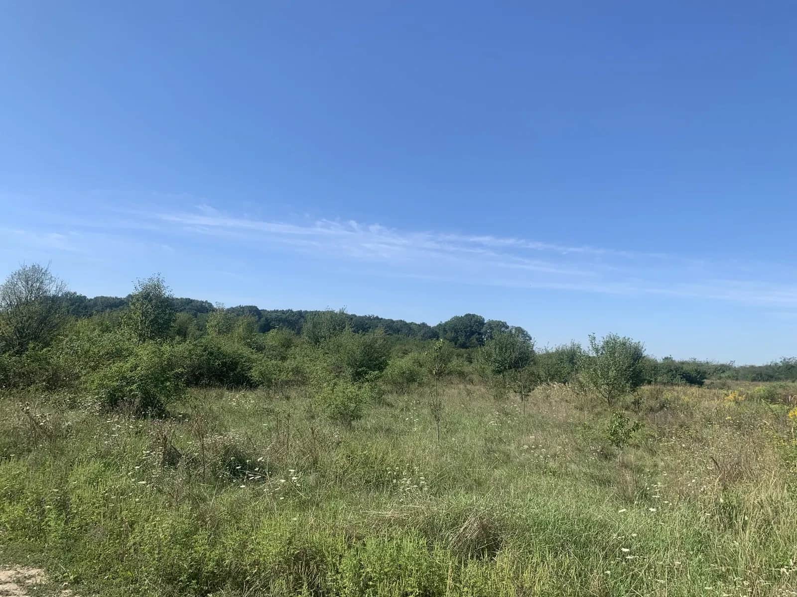 Ділянка 0.08 соток, Виноградів: житлова й суспільна забудова - фото 1