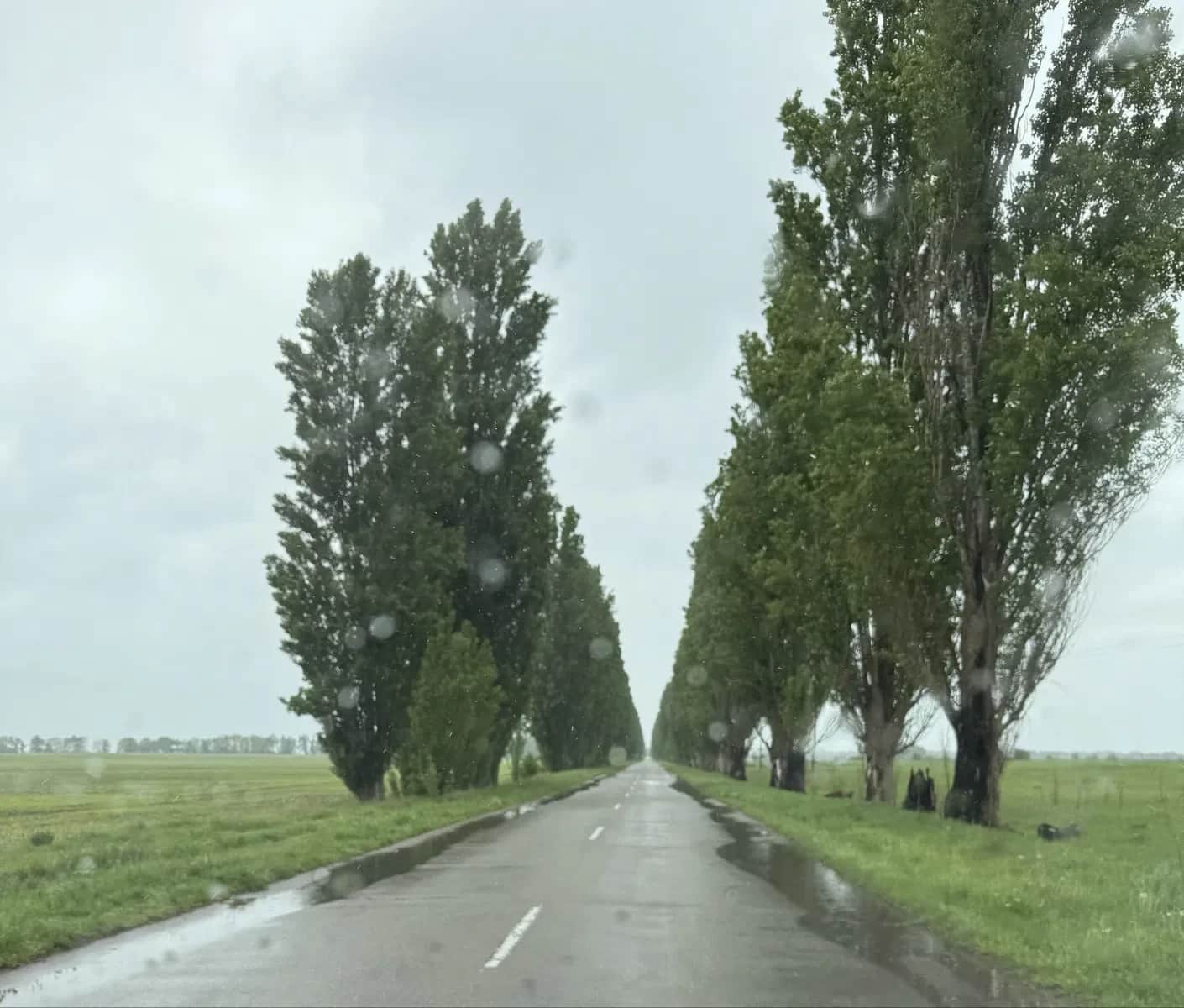 Ділянка 18 соток, Сезенків: вихід до річки, газ та електрика - фото 2