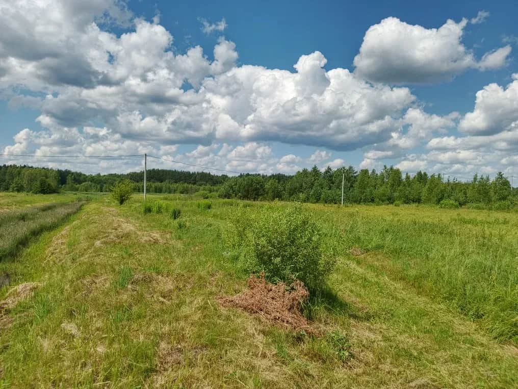 Ділянка 1 760 соток, Немовичі: сільгоспземля, світло поруч - фото 1
