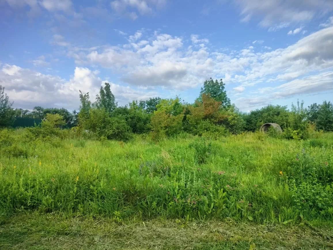 Ділянка 30 соток, Смородське: під забудову, 2 км до санаторію - фото 2