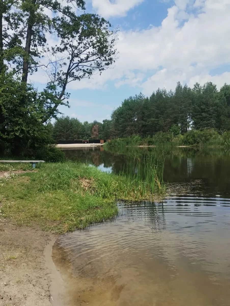 Дача, Сонячна поляна: біля річки Вільшанка, 12 соток - фото 2