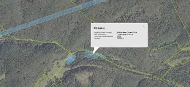 Ділянка 62 соток, Дубриничі: курорт Новоселиця, кордон зі Словаччиною - фото 1