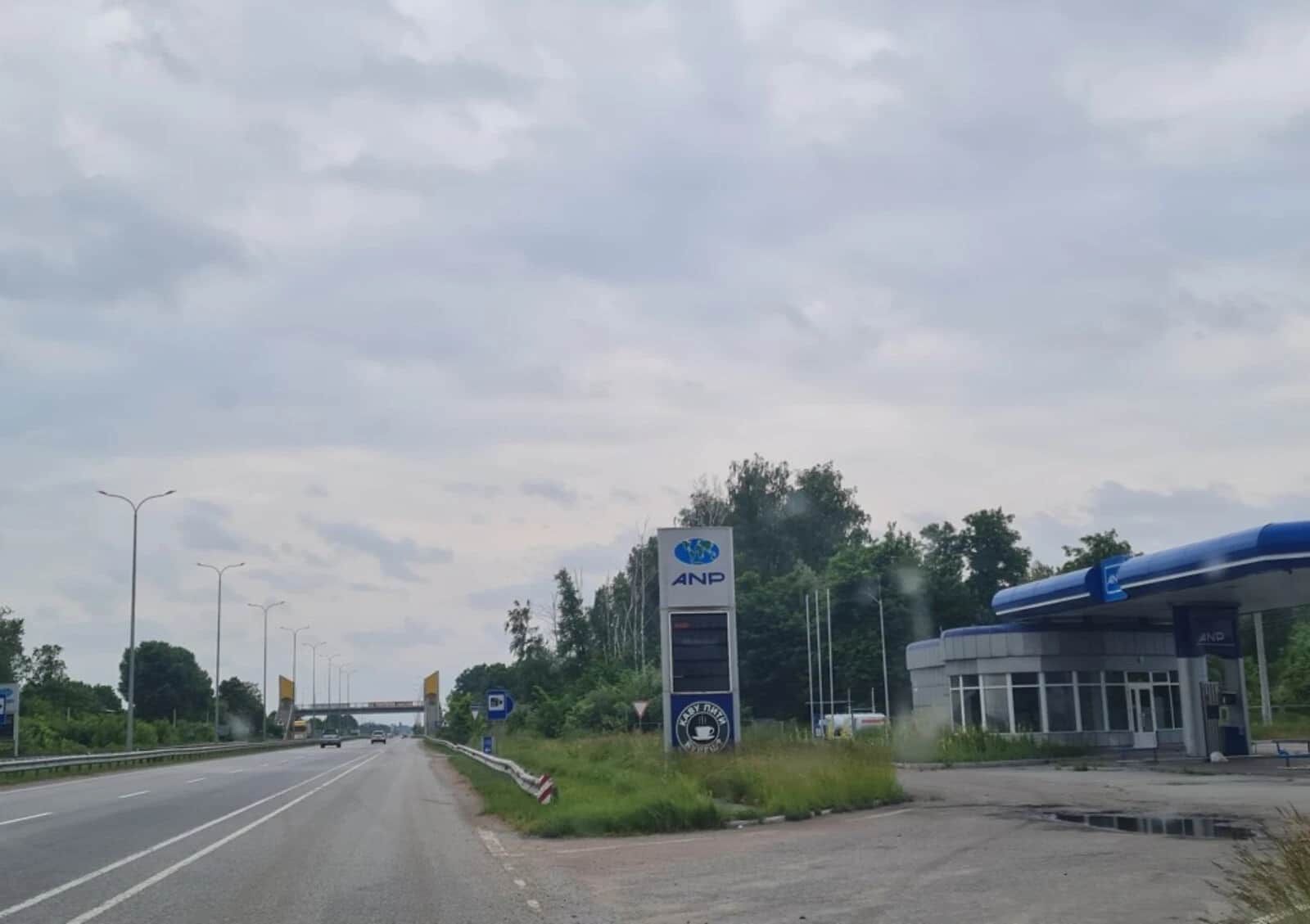 Ділянка 50 соток, Ставище (Брусилів): під житлову забудову, сад - фото 2