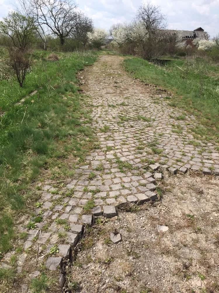 Ділянка 950 соток, Червеньово: асфальтована дорога, газ і світло 100 м - фото 2