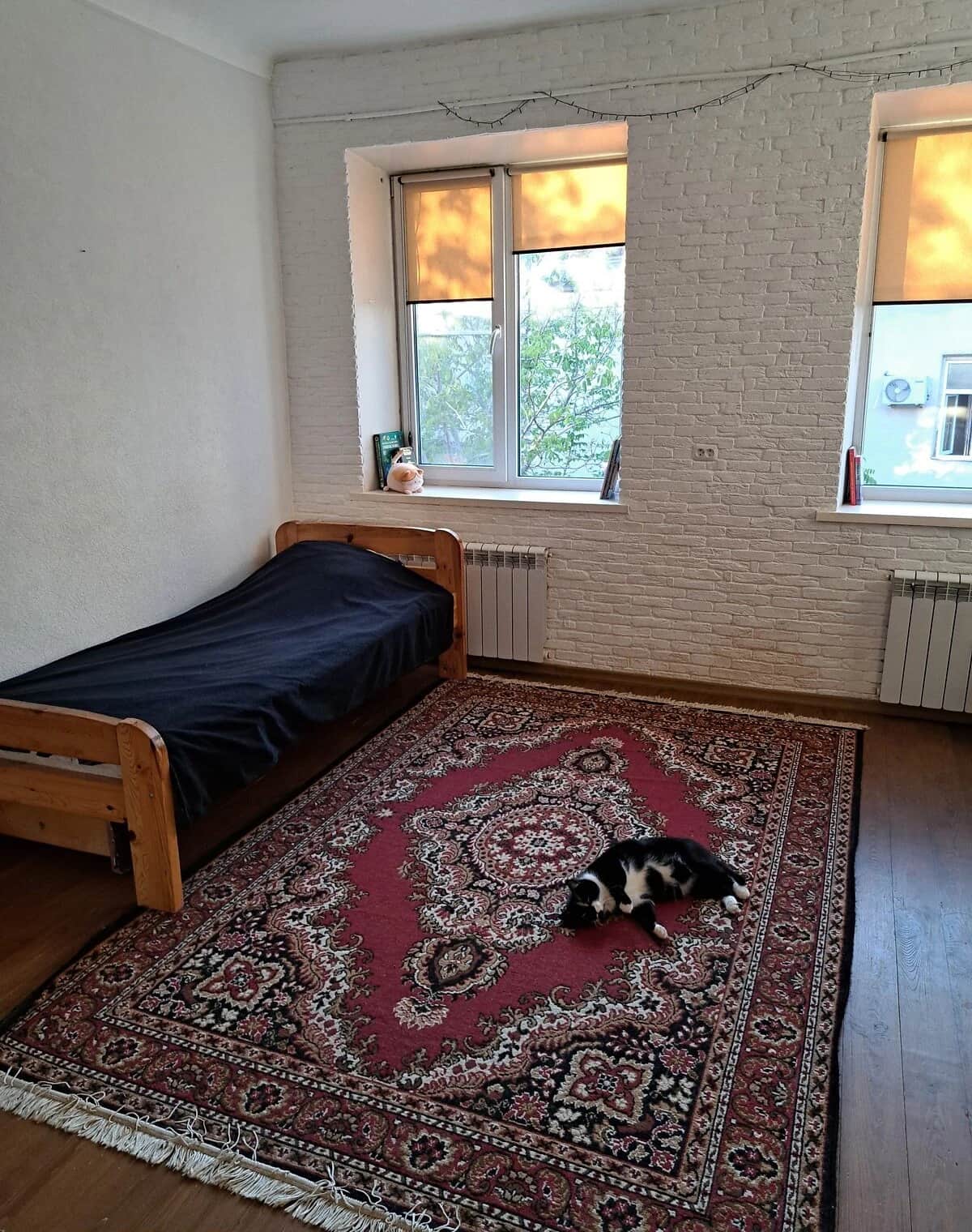 Кімната, Холодна Гора: косметичний ремонт, торг - фото 2