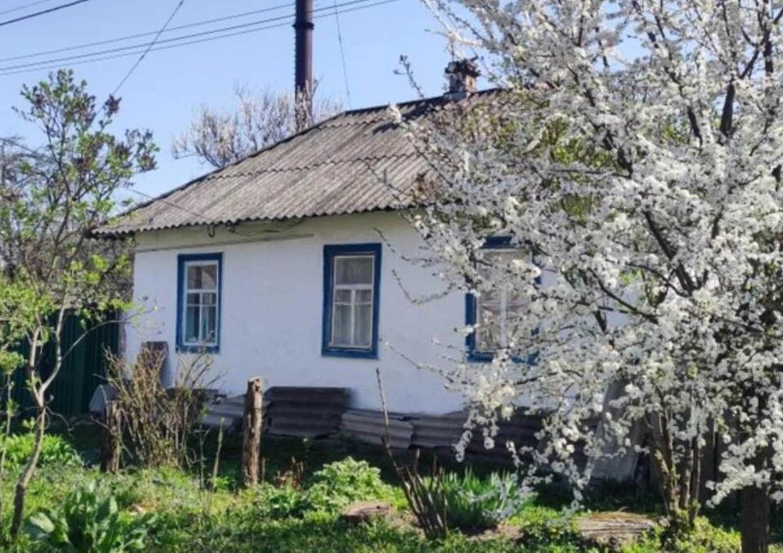 Будинок, Козелець: газове й пічне опалення, 3 сотки - фото 1