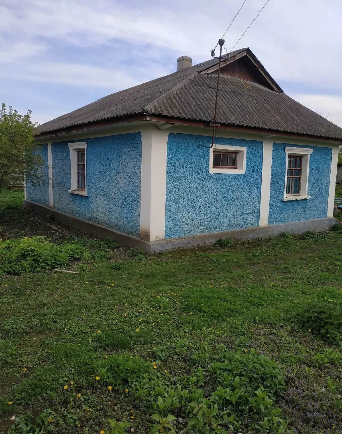 Будинок, Паплинці: природне озеро, школа, літня кухня - фото 2
