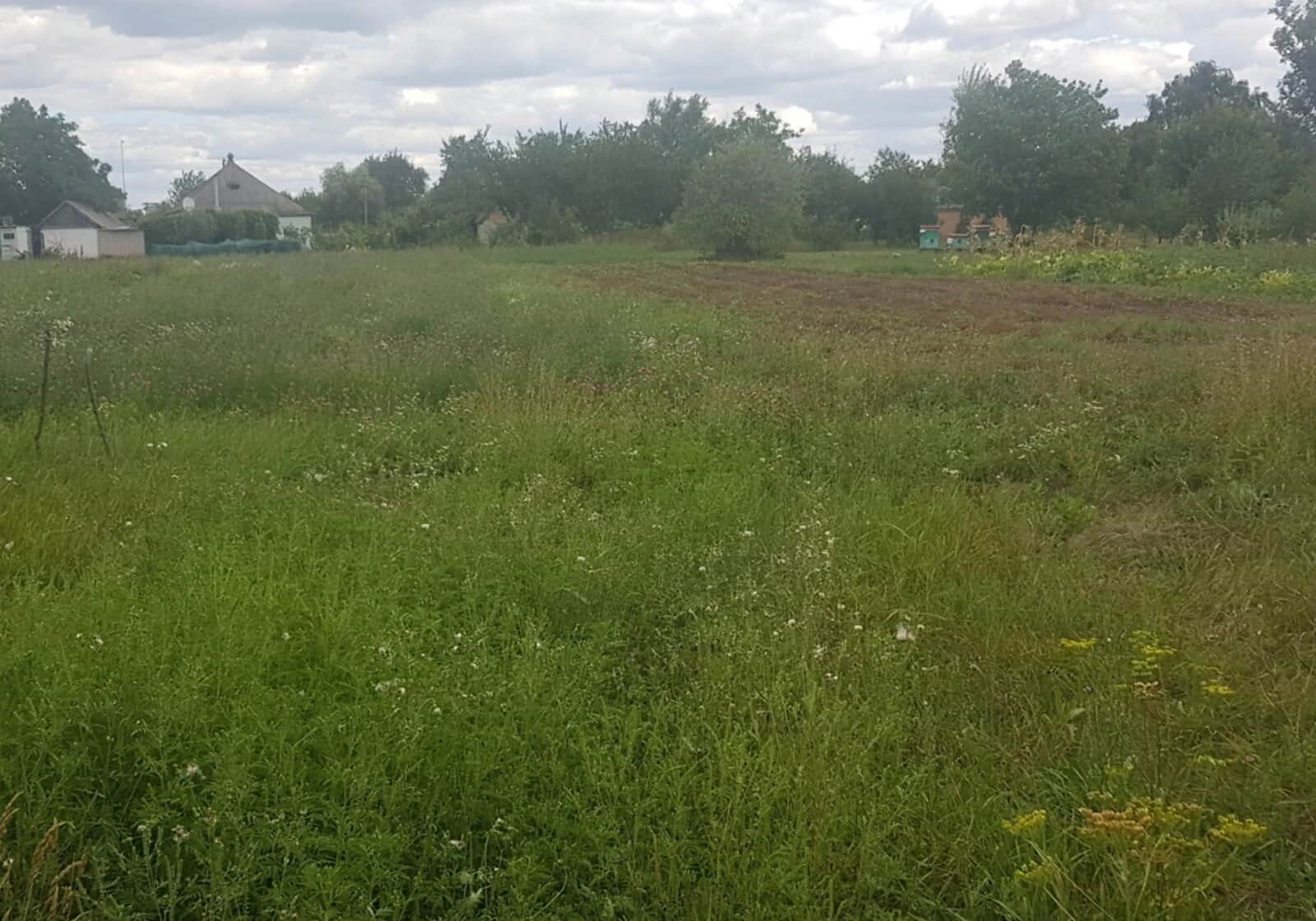 Ділянка 19.3 сотки, Печеніги: під житлову забудову, город і сад - фото 2