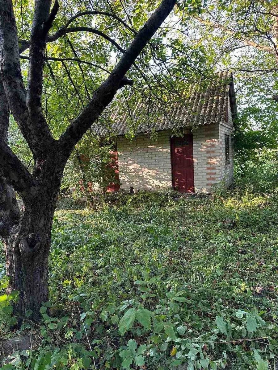 Дача, Струмівка: 6 соток, сад, газова мережа поруч - фото 2