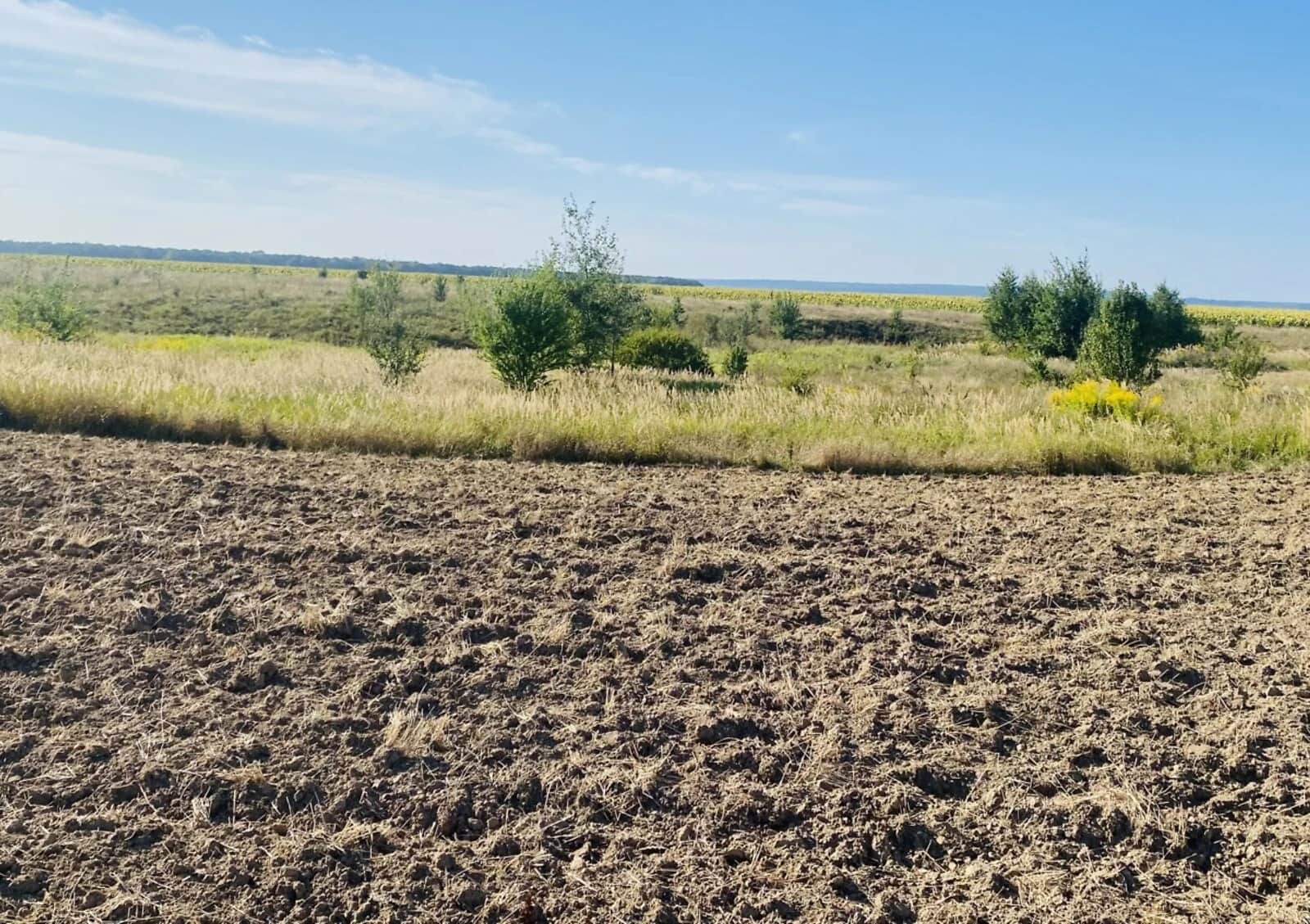 Ділянка 11.5 соток, Іваниківка: під житлову забудову, під гараж - фото 2