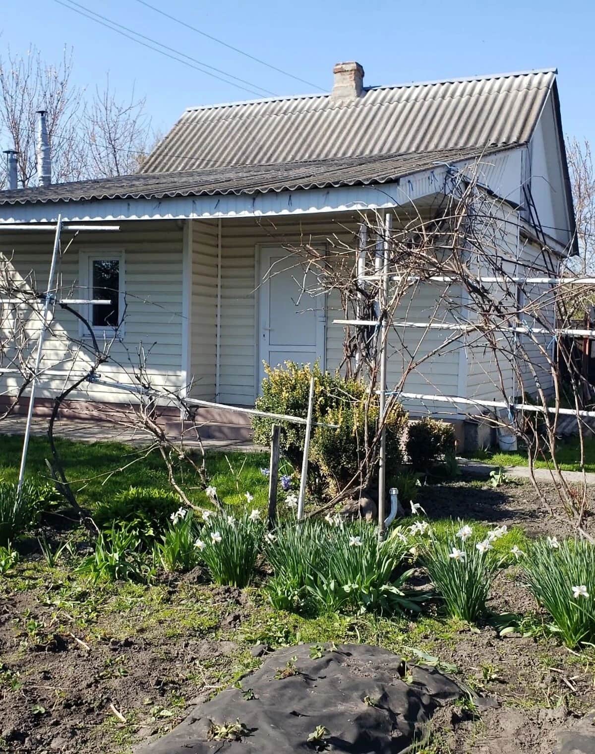 Дача, Ічня: 6 соток, гараж, літня кухня - фото 2
