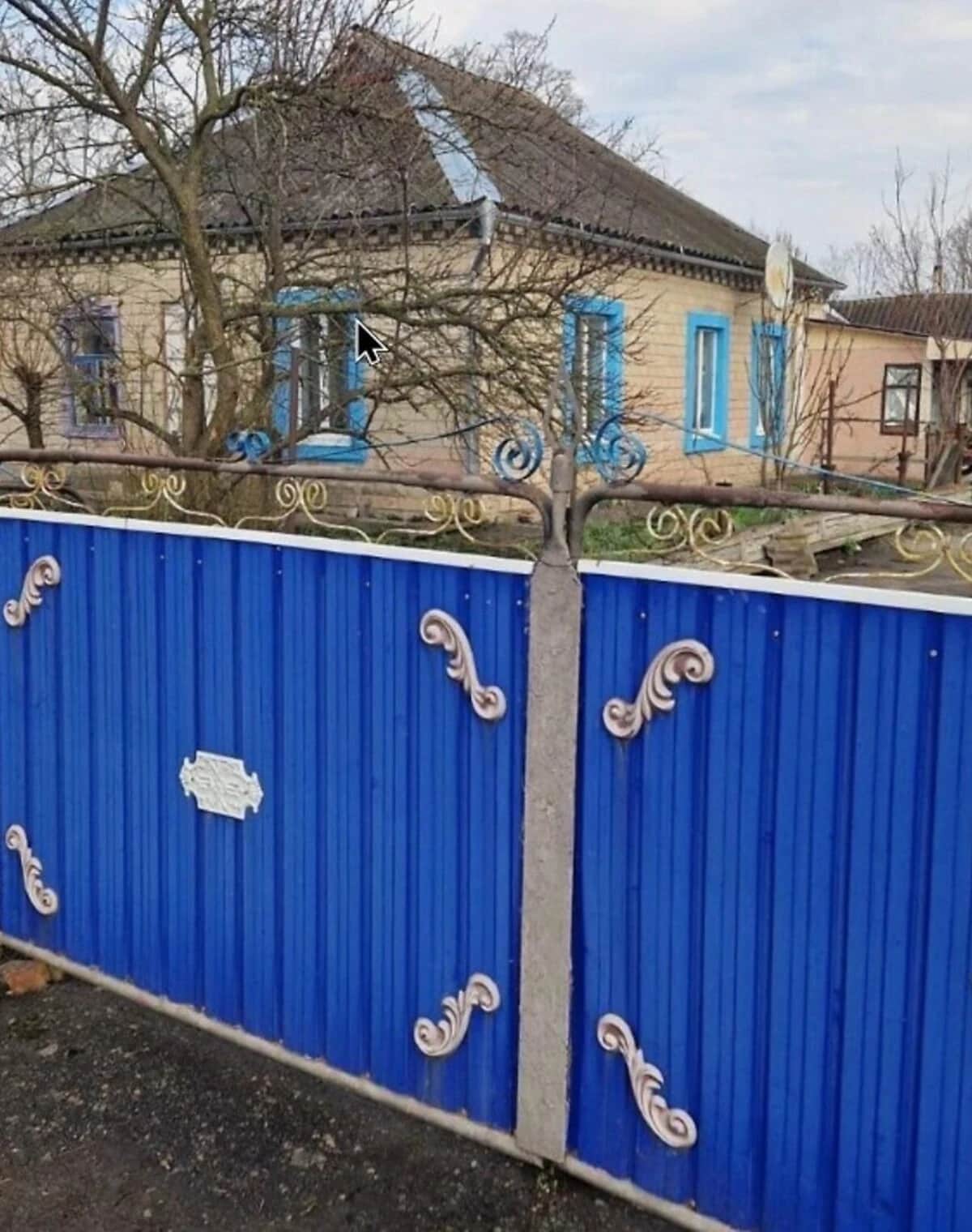 Будинок, Демина Балка: камін, газове опалення - фото 1