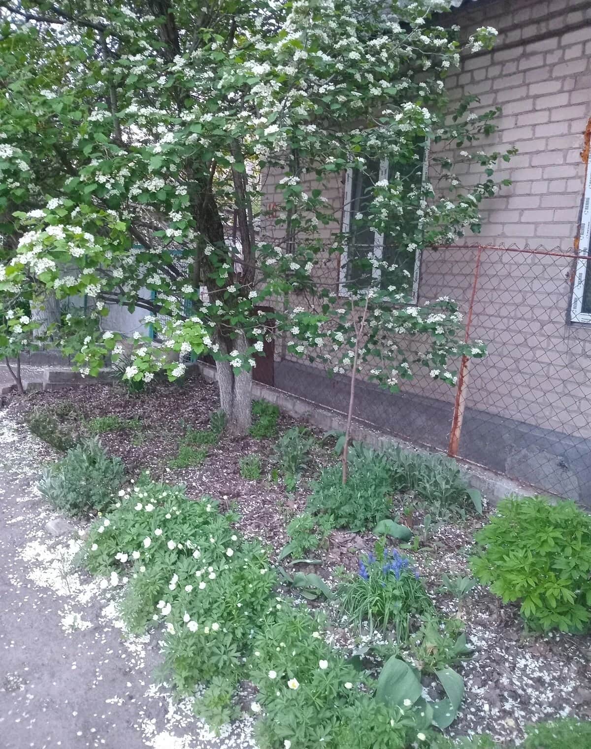 Частина будинку, Новокодацький: єВідновлення, гараж із підвалом - фото 2