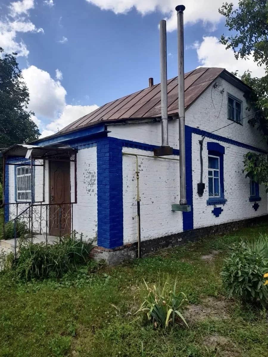 Будинок, Новаки: 36 соток, газ, погріб - фото 1