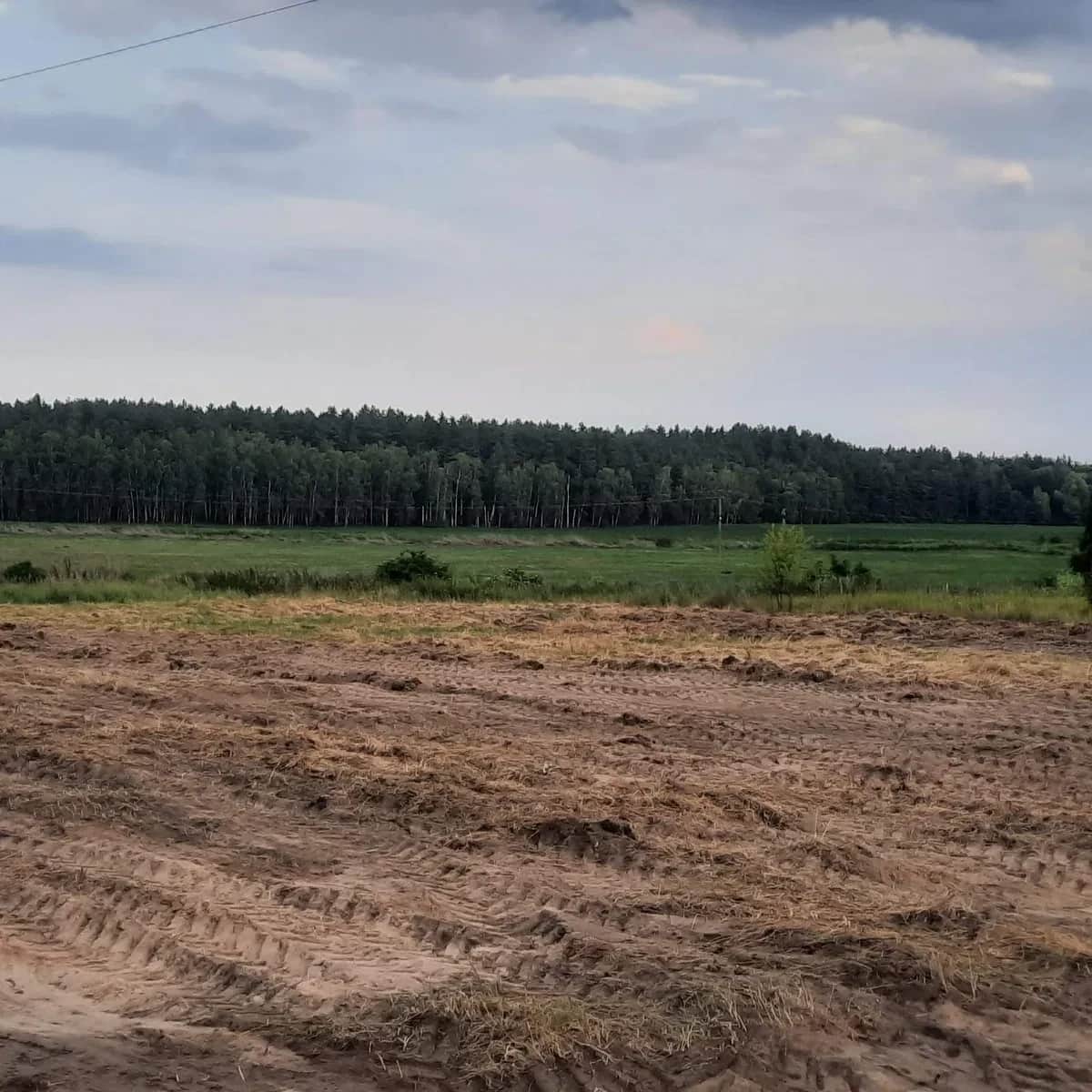 Ділянка 40 соток, Березань: ліс та озеро, Київ-Харків за 800 м - фото 1