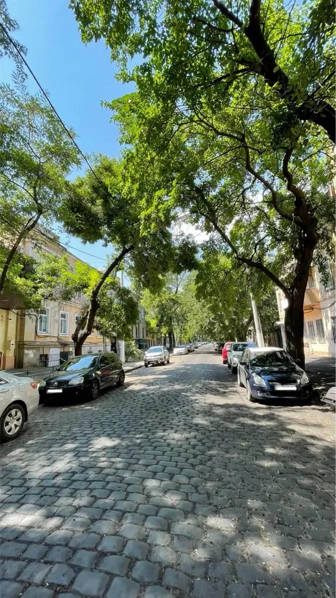 Фасадне приміщення, Приморський: магазин з орендарем, підвал - фото 2