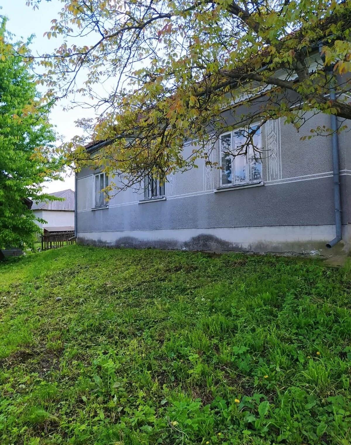 Будинок, Васючин: 25 соток, одна спальня, торг можливий - фото 1