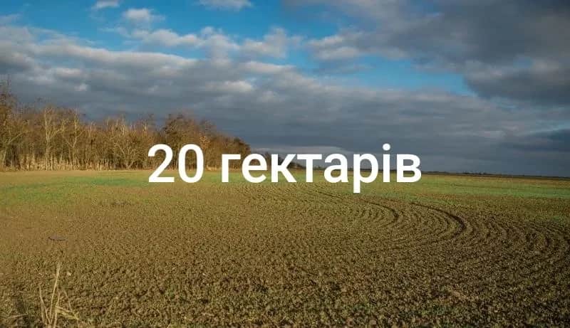 Ділянка 250 соток, Часлівці: електрика, кам’яна дорога - фото 2