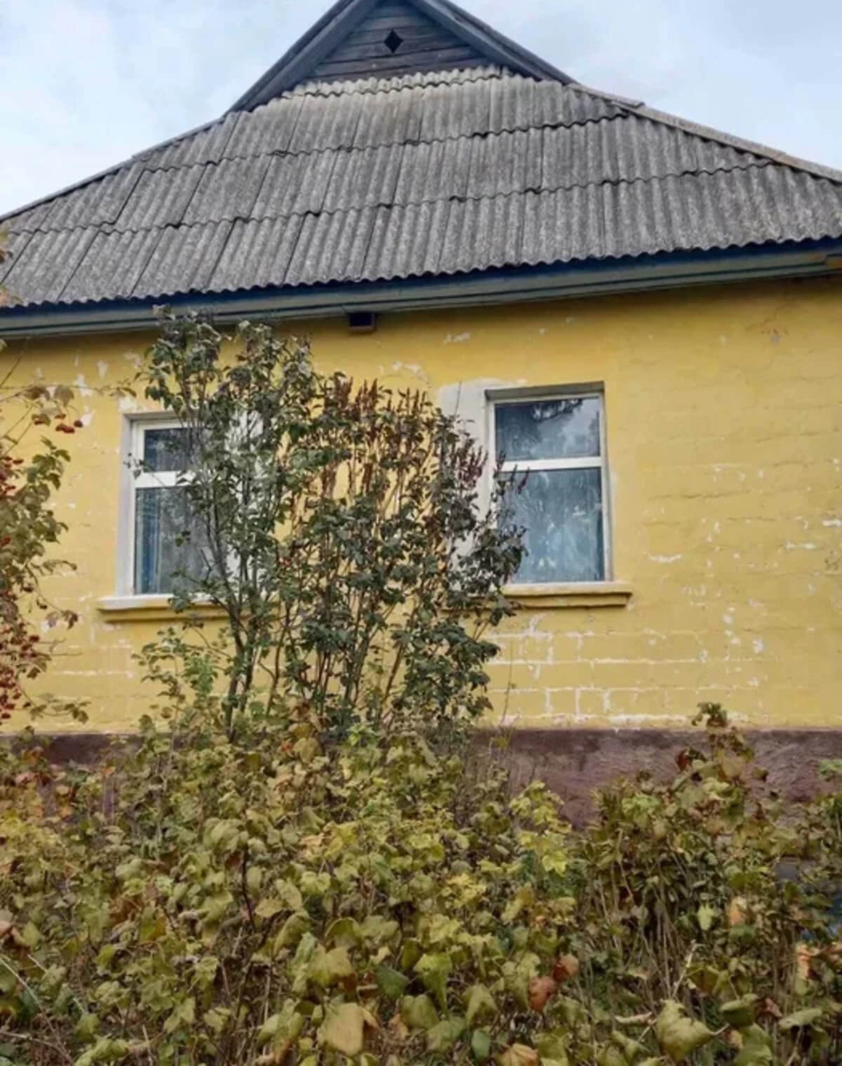 Будинок, Макишин: гараж, 35 соток, пічне опалення - фото 1