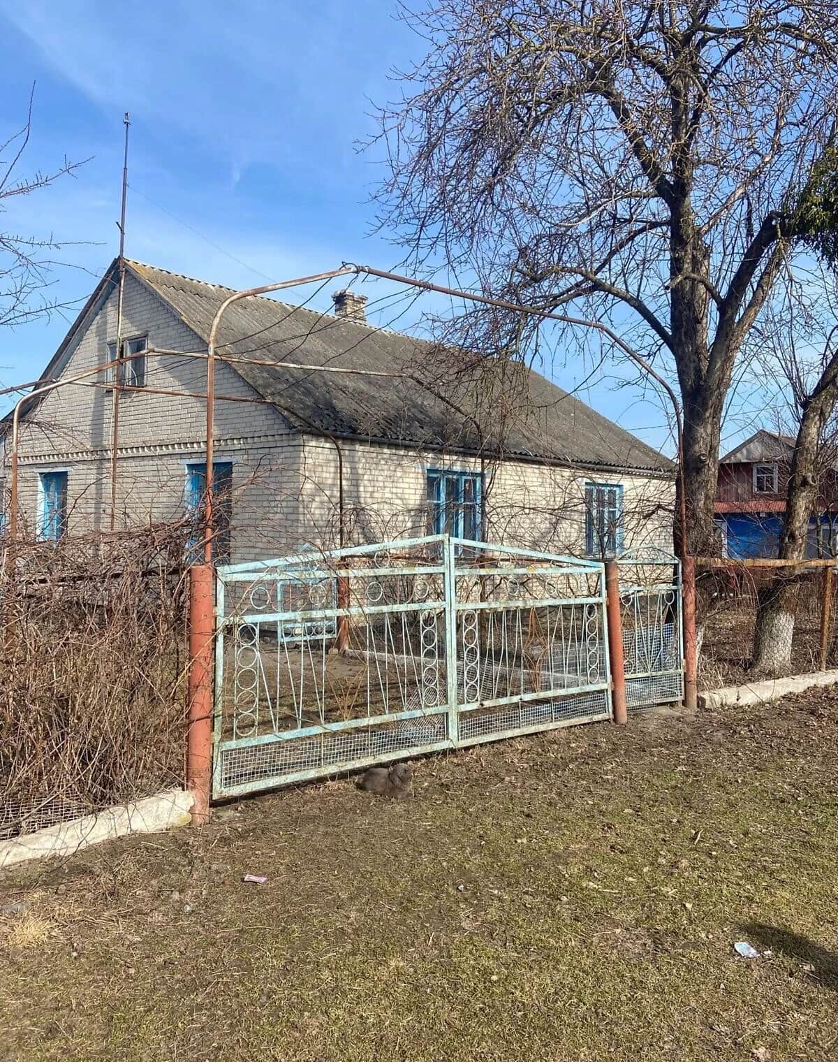Будинок, Холонів: гараж із підвалом, свердловина, сад і город - фото 2