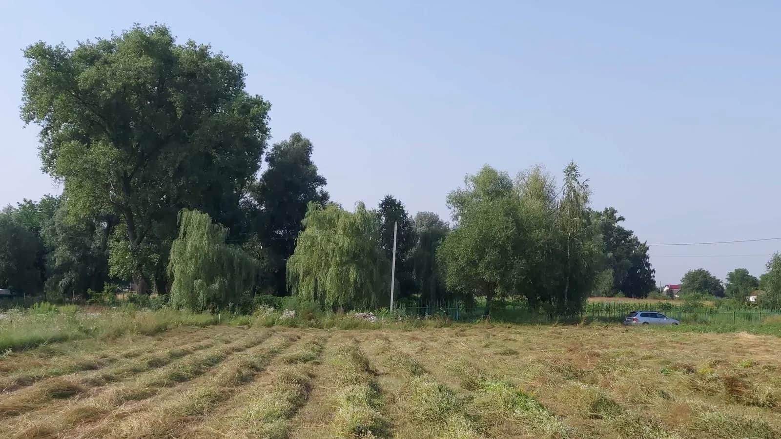 Ділянка 18,68 соток, Велика Димерка: електрика, 50 м до вул. Богданівська - фото 1