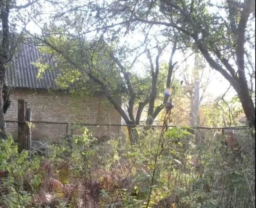 Дачний будинок, Святошинський: ліс за 100 м, метро Житомирська - фото 2