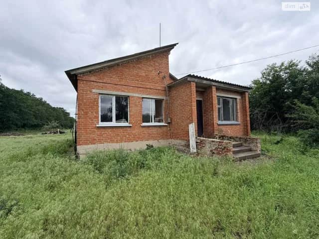Будинок, Нові Мартиновичі: гараж із підвалом, 53 сотки, торг можливий - фото 2