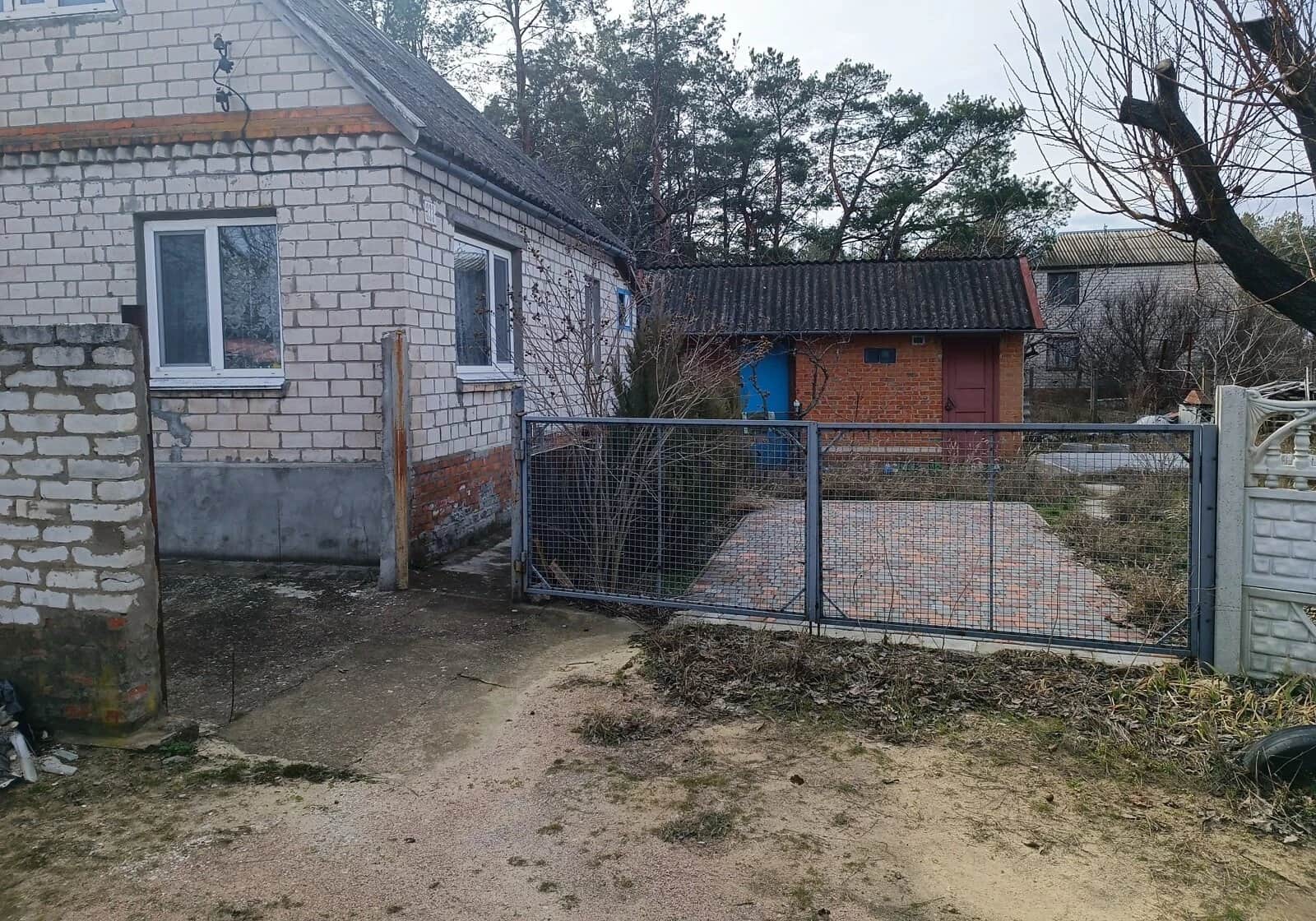 Будинок, Матвіївка: сад і город, свердловина - фото 2
