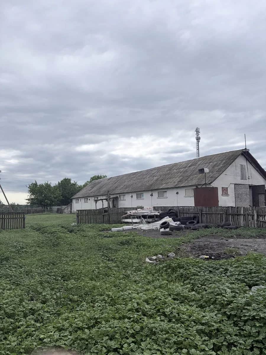 Птахоферма, Черкаси: 2 пташники, обладнання для несучки - фото 2