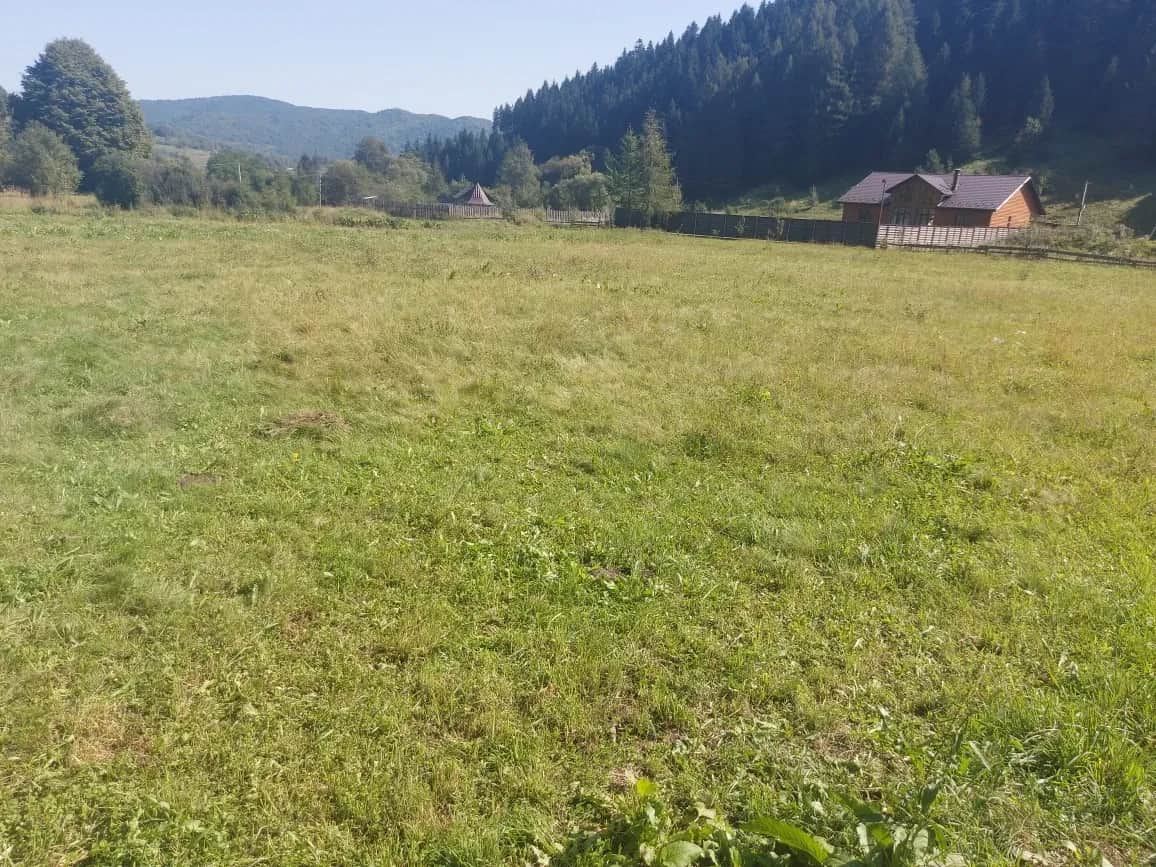 Ділянка 27 соток, Рибник: електрика, річка, ліс - фото 1