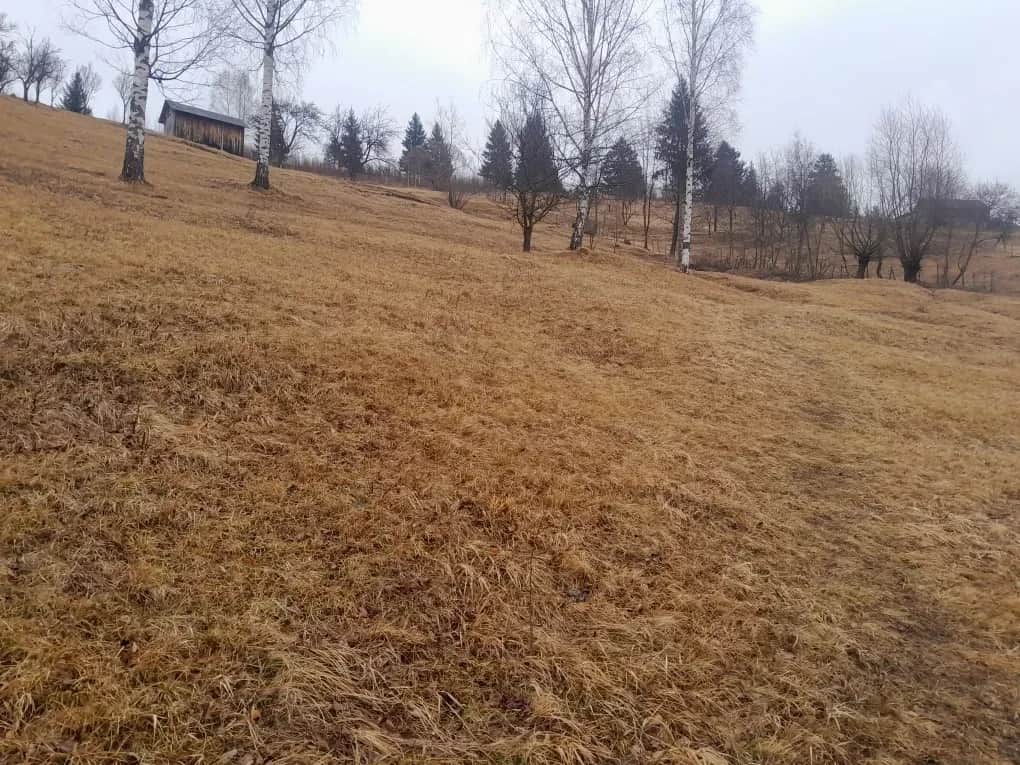 Ділянка 85 соток, Верхній Ясенів: будинок, під забудову, гори - фото 2
