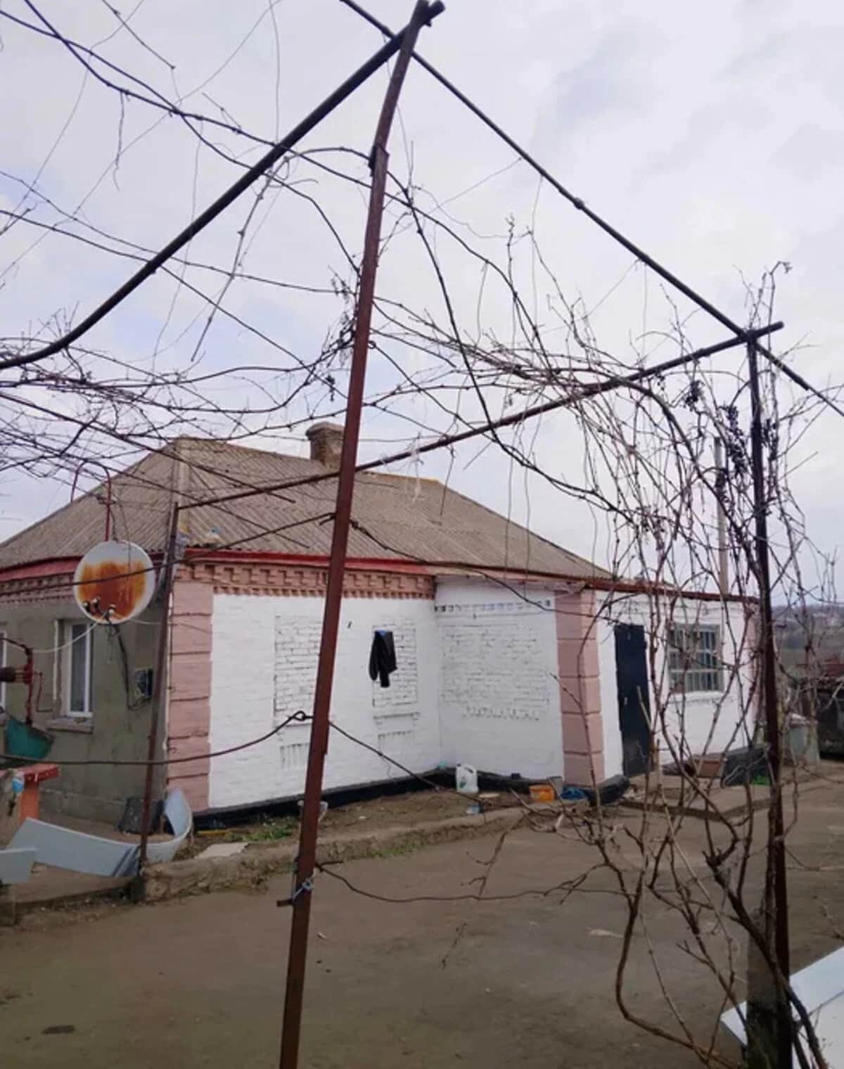 Будинок, Новоукраїнка: цегляні стіни, сад і город - фото 2