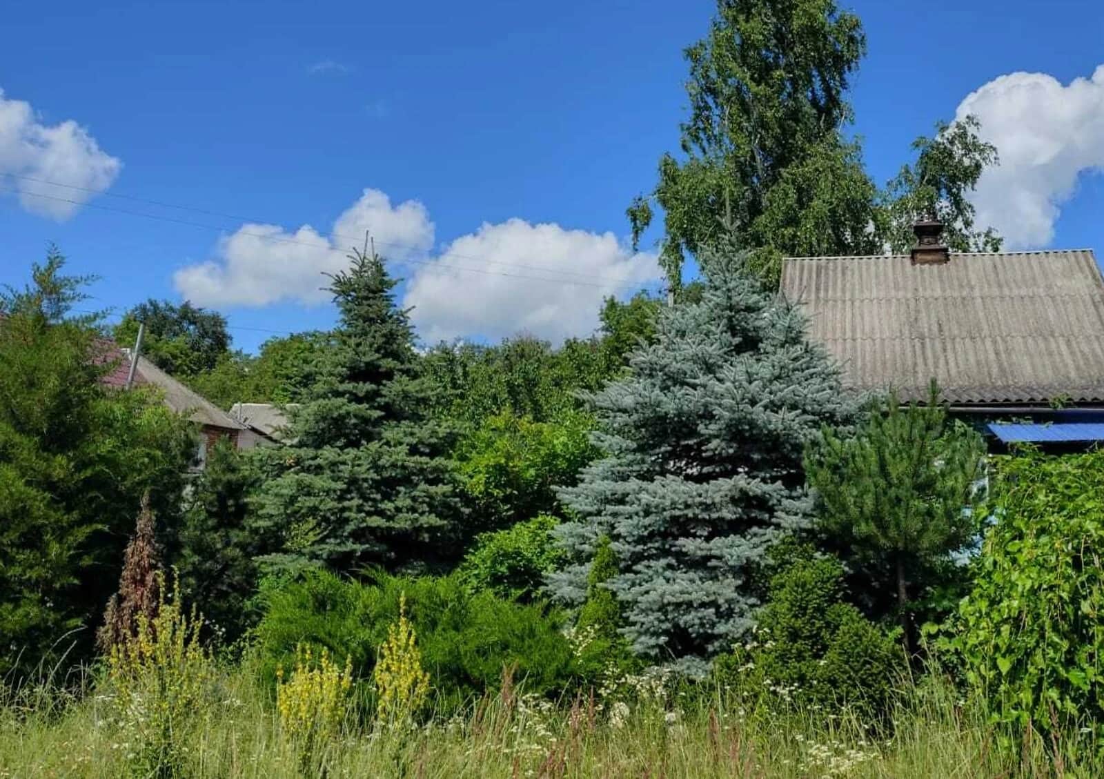 Будинок, Мурафа: бесідка, 56 соток, гараж із підвалом - фото 1