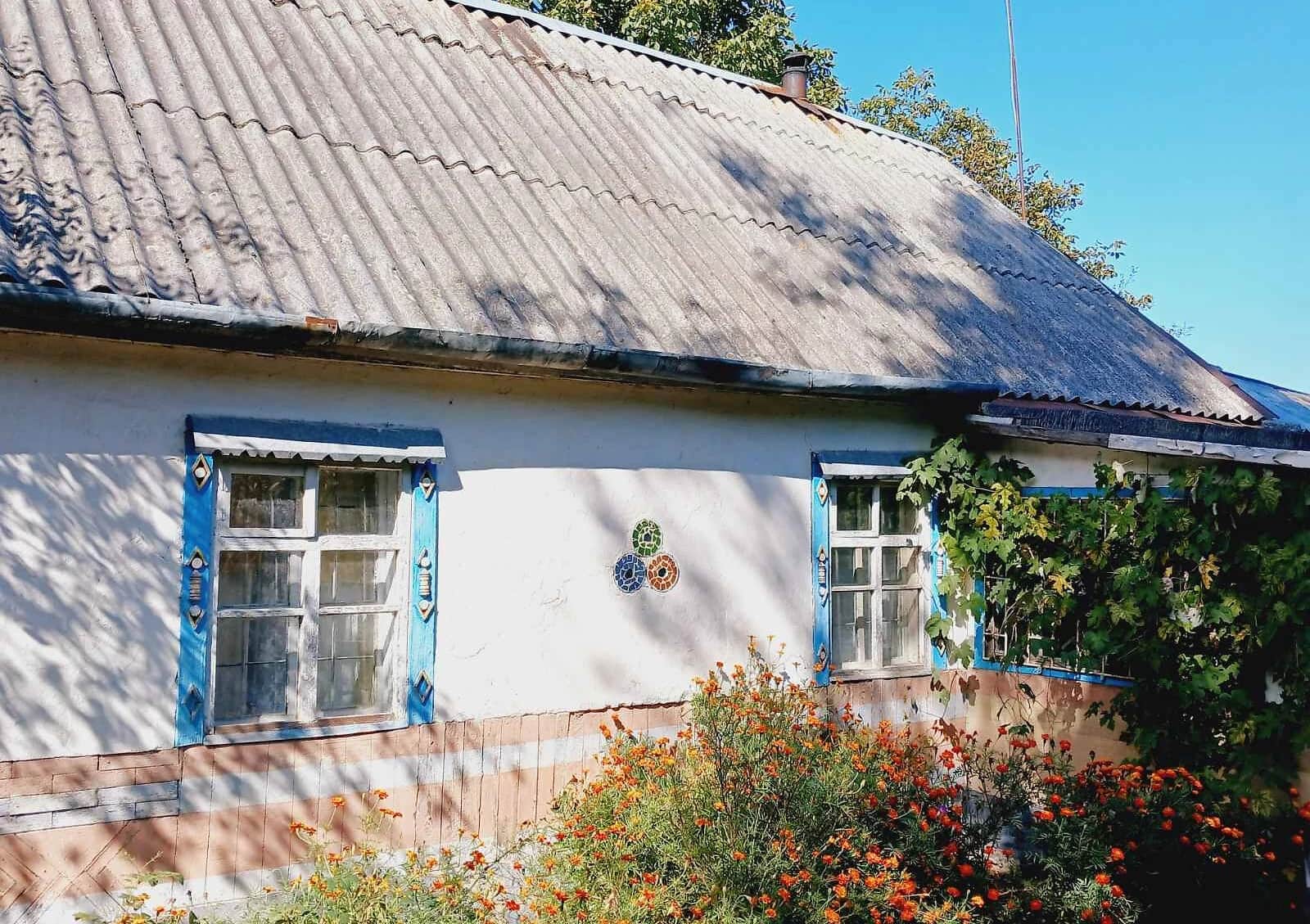 Будинок, Вільнянка: 25 соток, пічне опалення, гараж із підвалом - фото 1