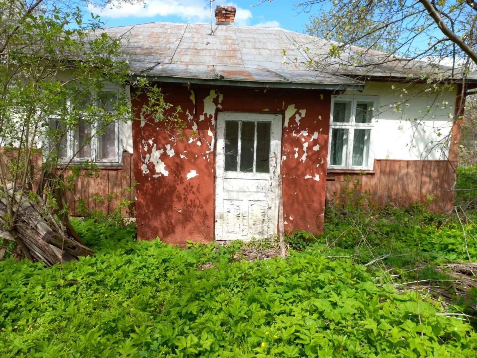 Ділянка 85 соток, Жураки: хата, город - фото 2