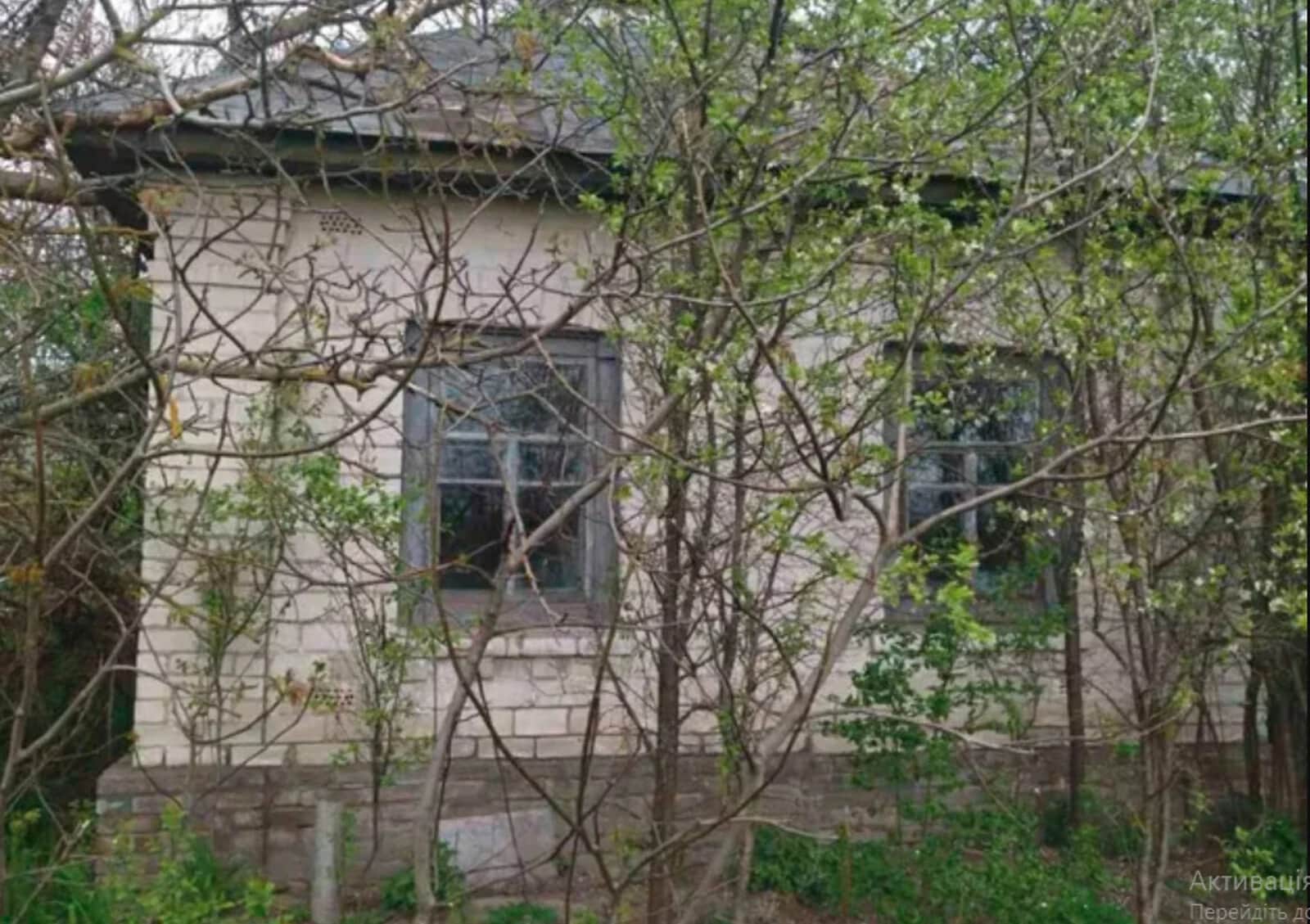 Будинок, Горбачі (Козелець): пічне опалення, 24 сотки, гараж із підвалом - фото 1