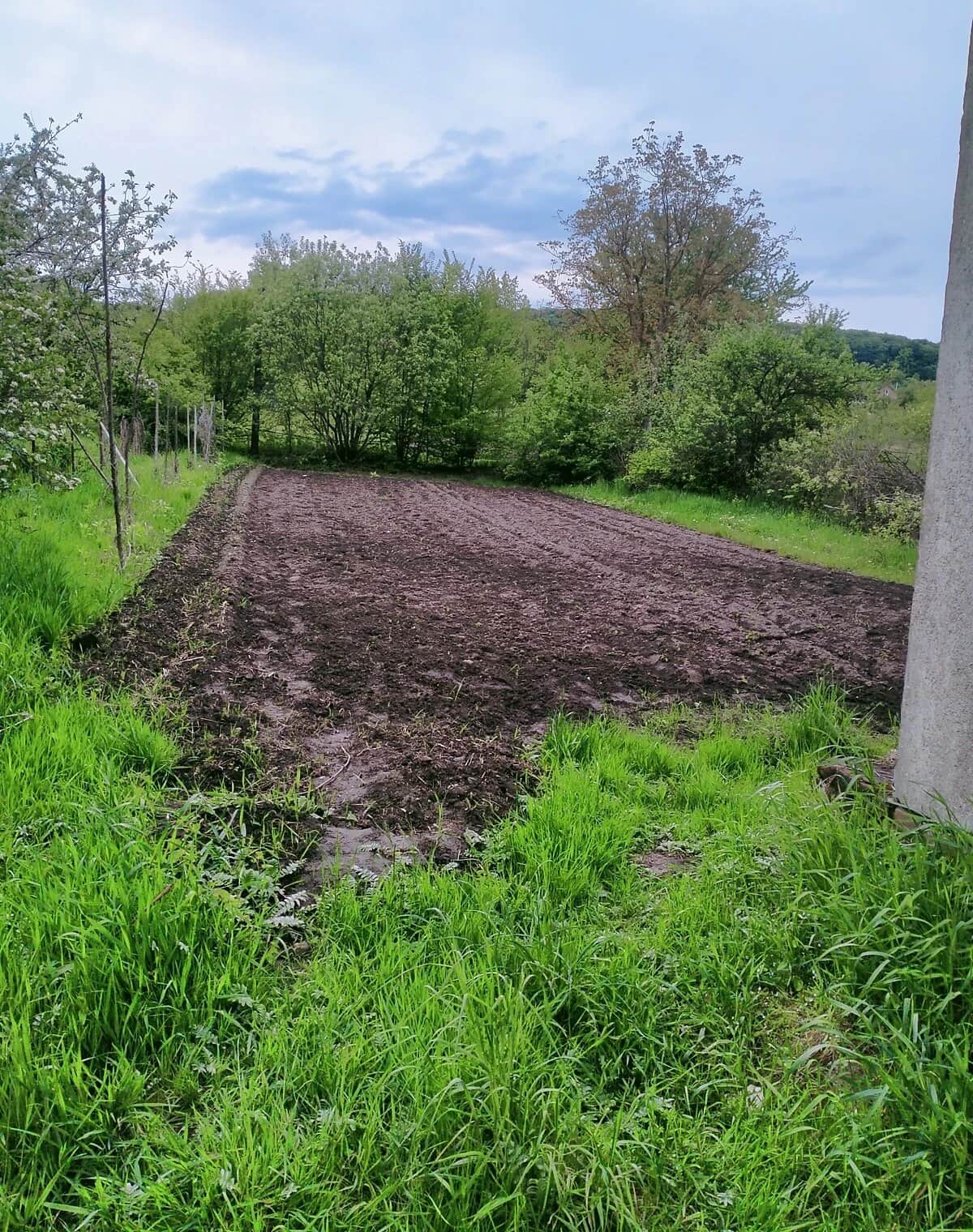Ділянка 7.18 сотки, Лісники: сільськогосподарського призначення - фото 1