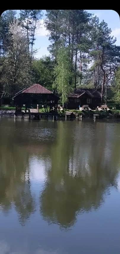 Фермерське господарство, Гуменне: зона відпочинку, 7 га лісу - фото 1