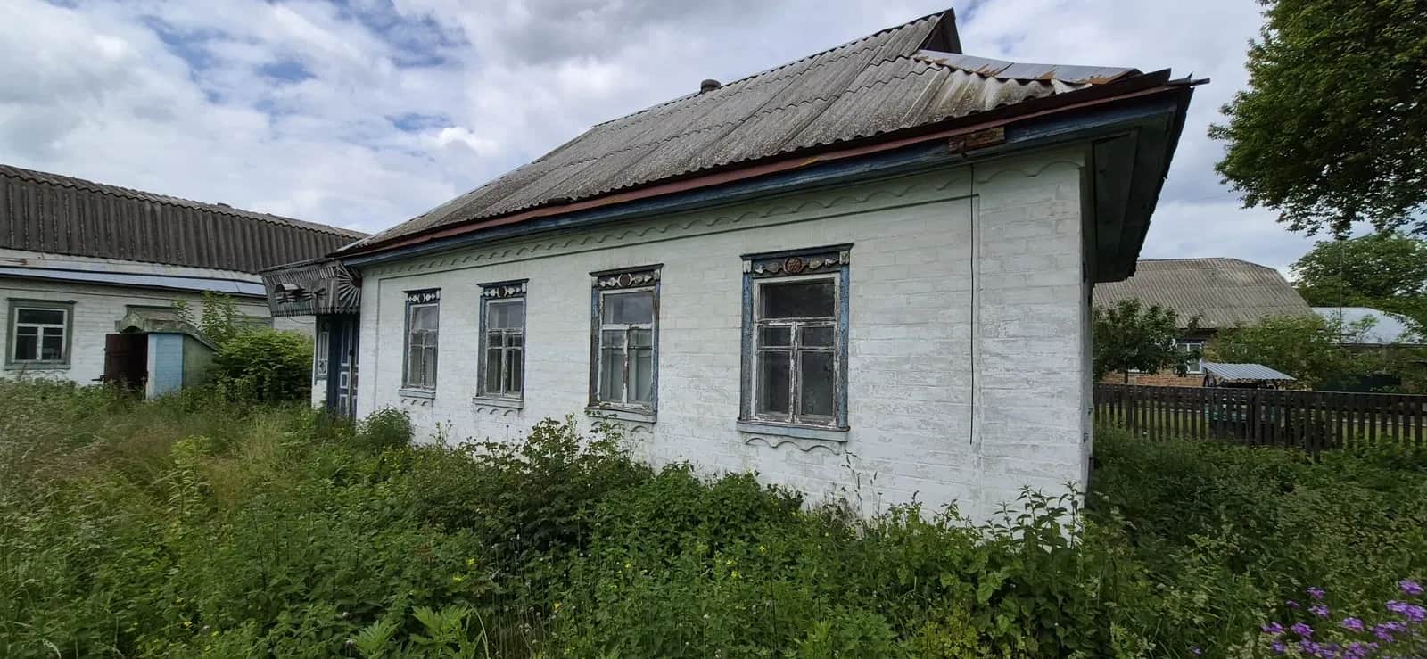 Будинок, Нетеребка: 54 сотки, літня кухня 45 м², торг - фото 1