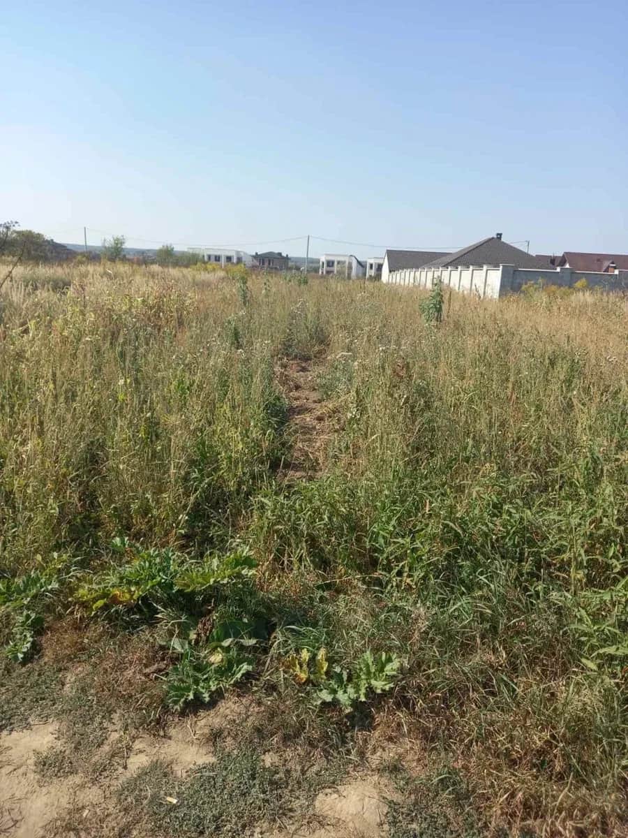 Ділянка 9,2 сотки, Крихівці: біля таунхаусів, асфальтована дорога - фото 1