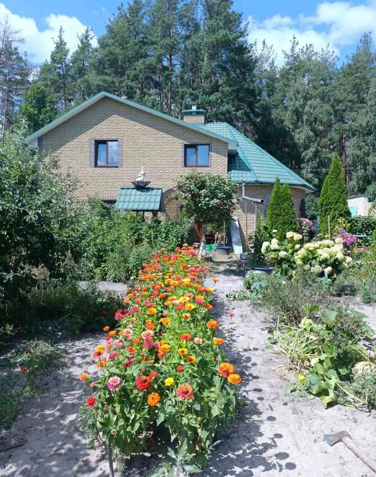 Будинок, Блиставиця: бесідка, 23 сотки, резервне живлення - фото 1
