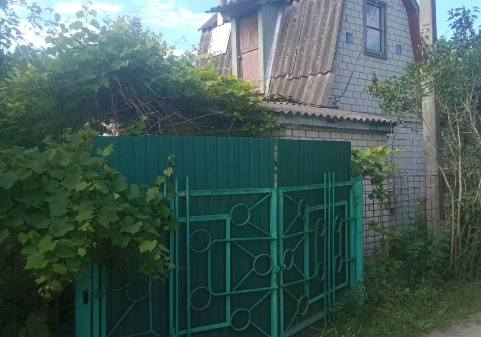 Ділянка 5 соток, Деснянка: дачний кооператив, сад і виноградник - фото 1