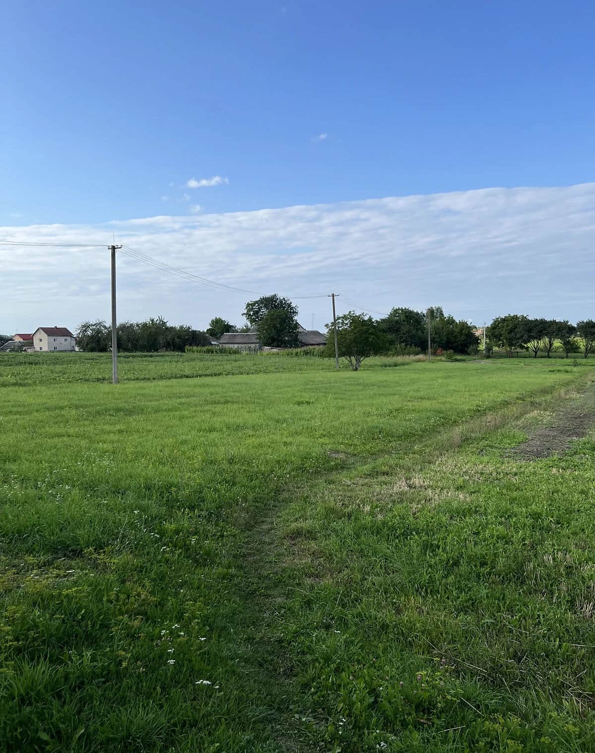 Ділянка 27.21 сотки, Куровичі: під житлову забудову, фундамент, електрика - фото 2