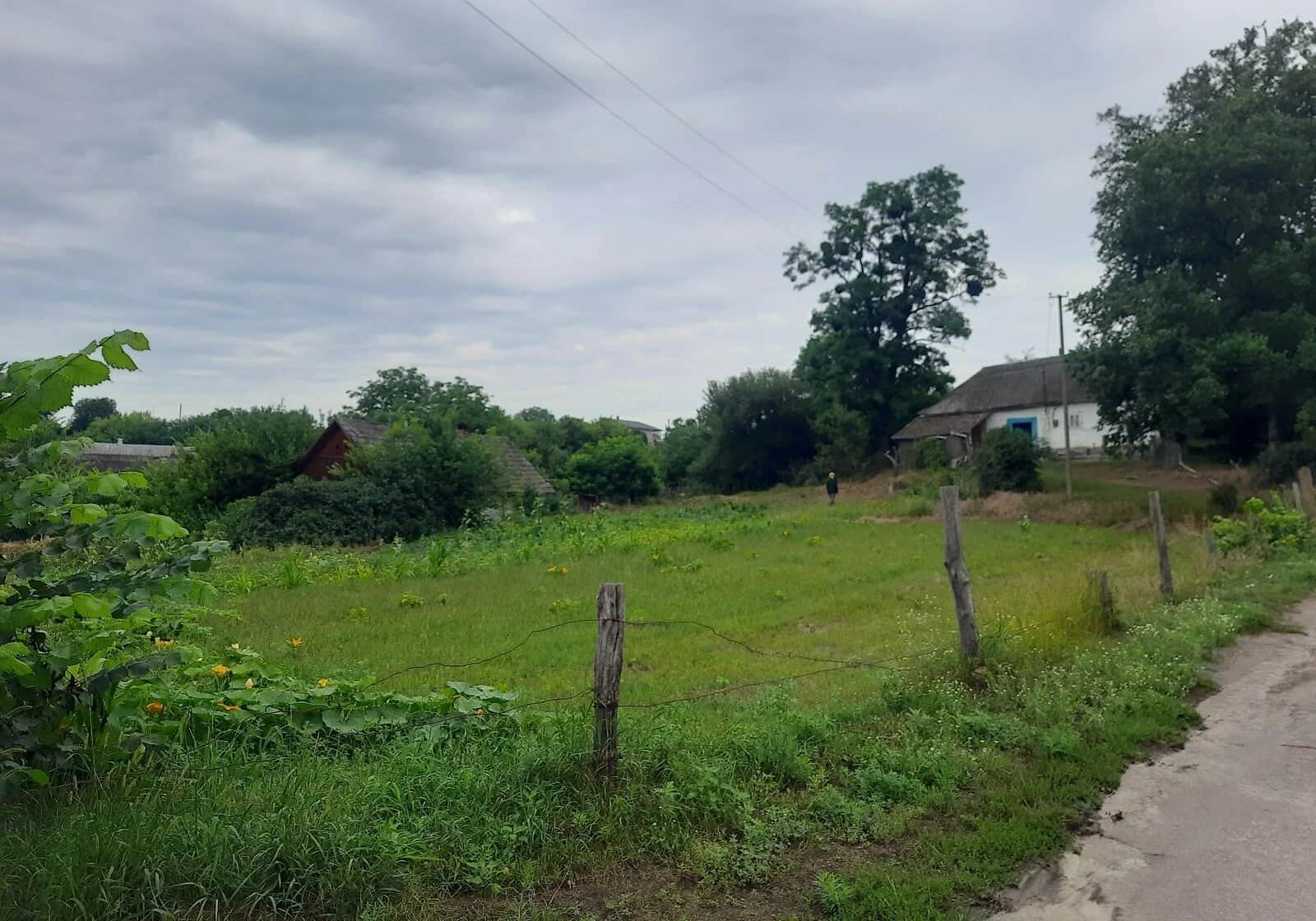 Ділянка 25 соток, Левків: під житлову забудову, під гараж, торг можливий - фото 1